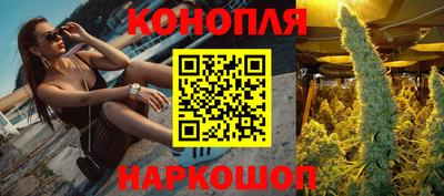 гидра Бузулук