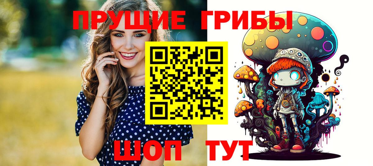 Галлюциногенные грибы Psilocybe  Галлюциногенные грибы прущие грибы  Сибай  Вход с VPN 
