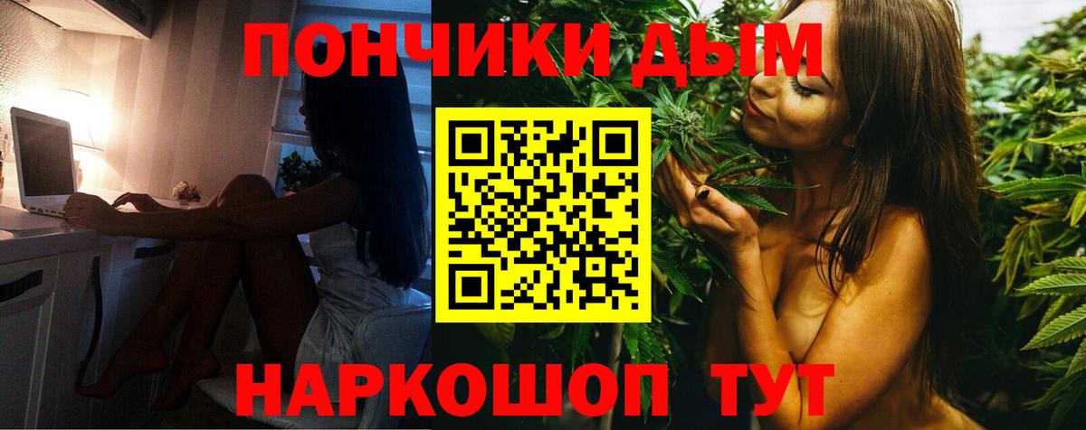 Бошки Шишки сатива Сибай